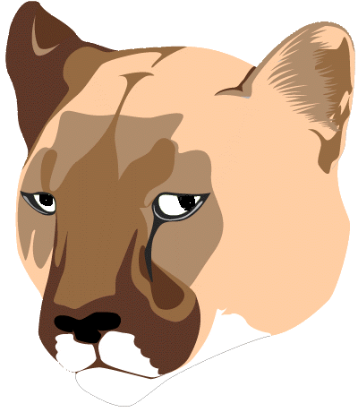 pow.gif (185078 bytes)